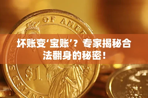 北京坏账变‘宝账’？专家揭秘合法翻身的秘密！