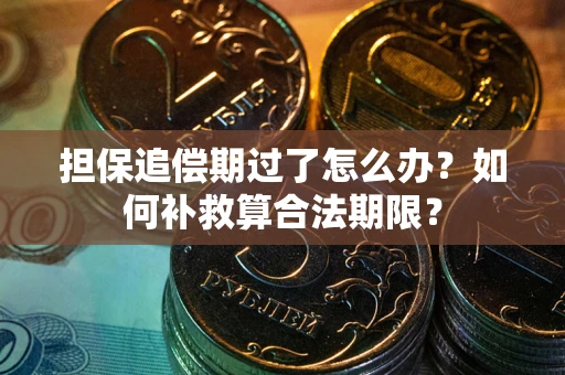 北京担保追偿期过了怎么办？如何补救算合法期限？